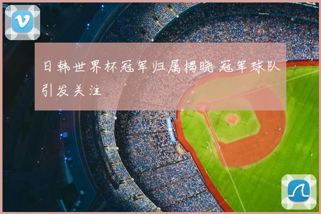 日韩世界杯冠军归属揭晓 冠军球队引发关注