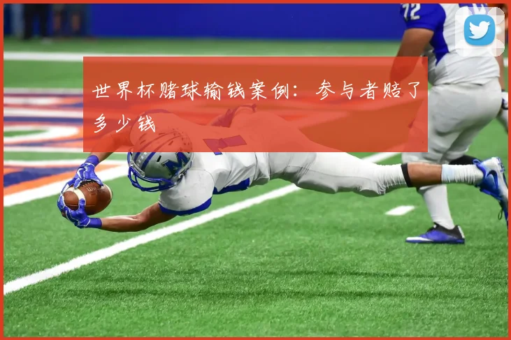 世界杯赌球输钱案例:参与者赔了多少钱