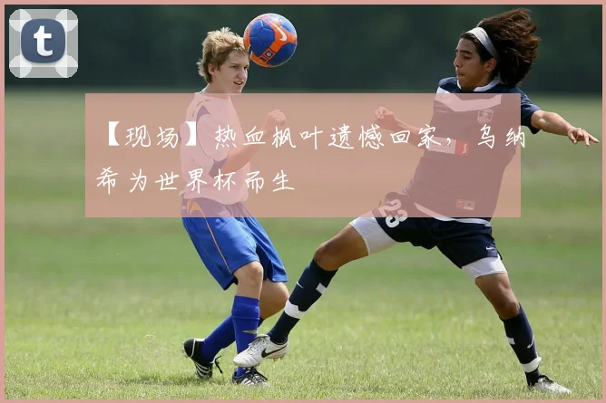【现场】热血枫叶遗憾回家,乌纳希为世界杯而生