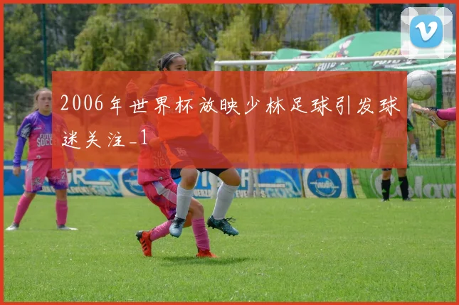 2006年世界杯放映少林足球引发球迷关注_1
