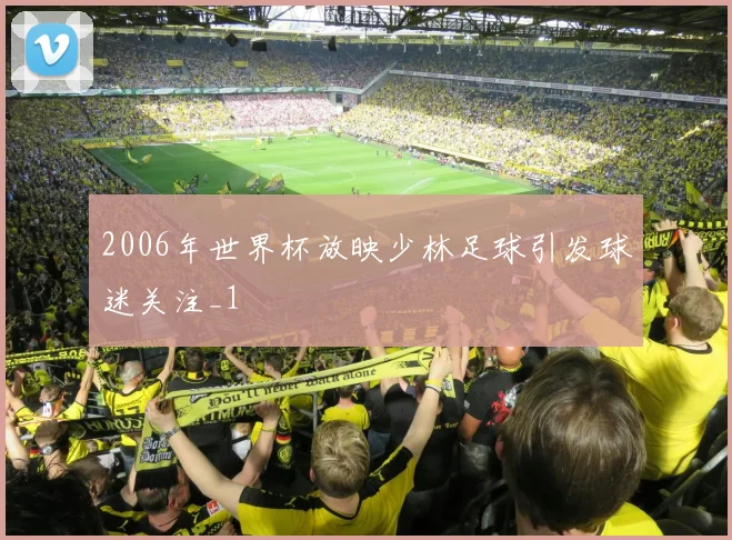 2006年世界杯放映少林足球引发球迷关注_1