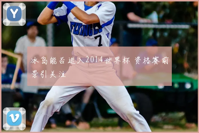 冰岛能否进入2014世界杯 资格赛前景引关注